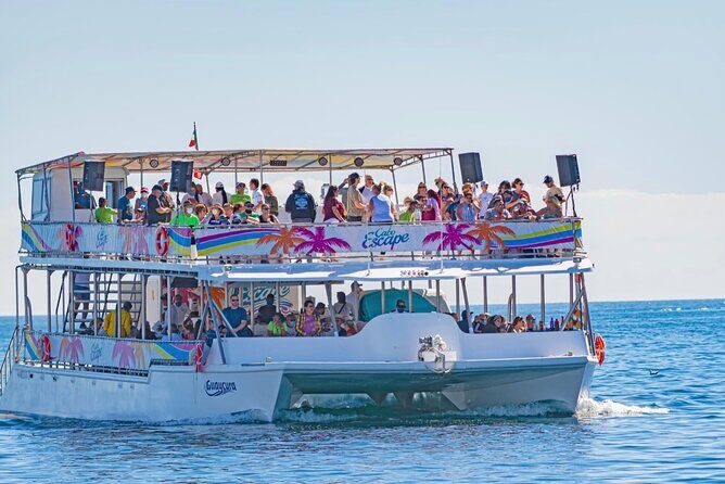 Sunset Dinner Cruise with Tequila & tacos - Practical Tips for Your Cruise