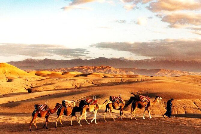 Sunset Dinner in Marrakech Desert with Quad bike - Key Points