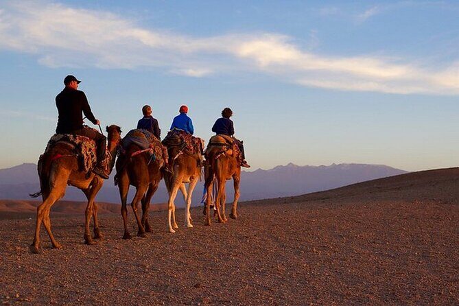 Sunset Dinner in Marrakech Desert with Quad bike - Exploring the Details of the Tour