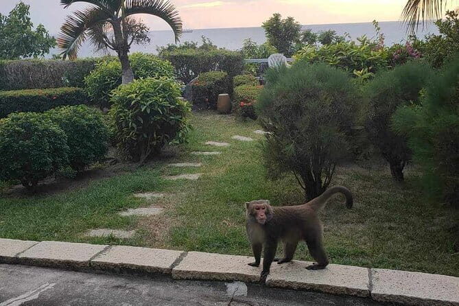 Sunset Dinner on Monkey Mountain - Key Points