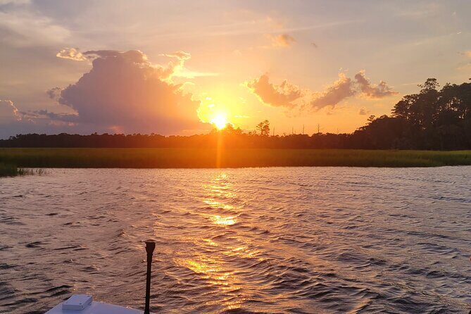 Sunset, Dolphin/Birding On A Private Guided Savannah Cruise - Practical Details and Booking