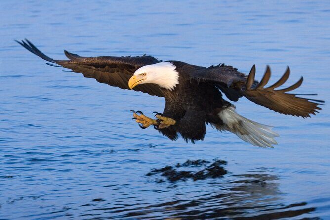 Sunset, Dolphin/Birding On A Private Guided Savannah Cruise - FAQ
