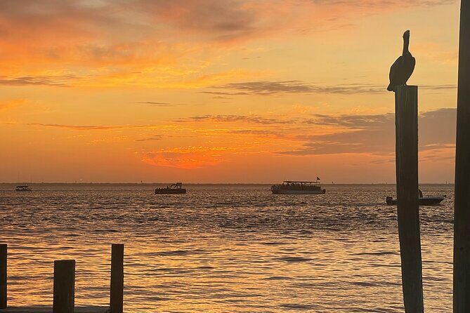 Sunset Dolphin Cruise - FAQ