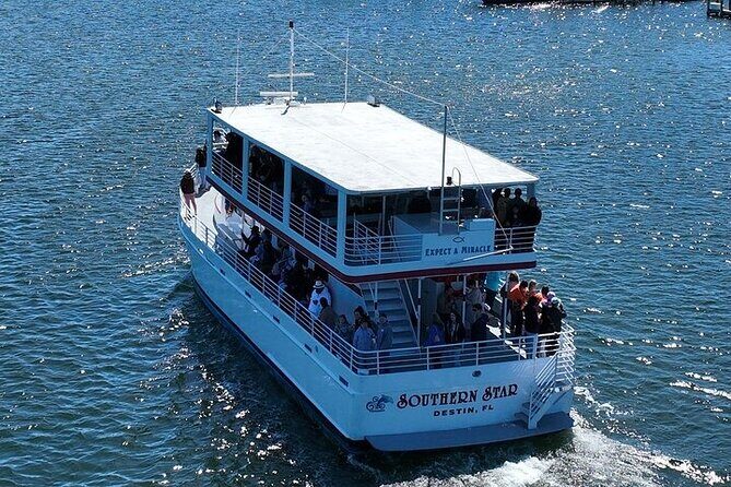 Sunset Dolphin Cruise in Destin - An In-Depth Look at the Sunset Dolphin Cruise Experience