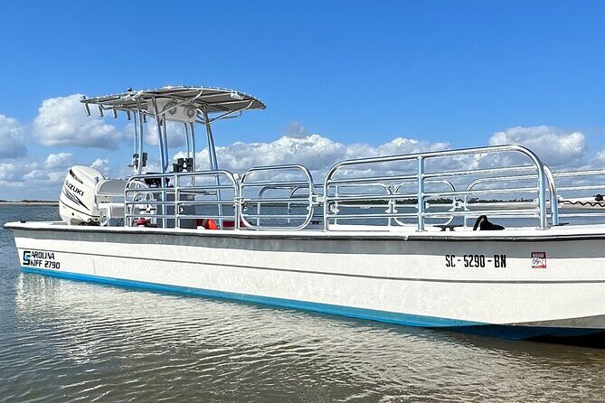 Sunset Dolphin Cruise (options for public of private) - Charming Sunset Dolphin Cruise in Charleston: An Authentic Lowcountry Experience