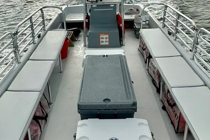 Sunset Dolphin Cruise (options for public of private) - Who Will Love This Tour?