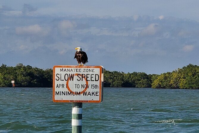 Sunset Dolphin Cruise with Sanibel Lighthouse Views - The Experience — What to Expect on This Fort Myers Water Tour