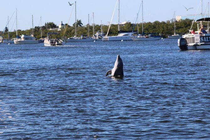 Sunset Dolphin Cruise with Sanibel Lighthouse Views - Pricing and Value — Is It Worth It?