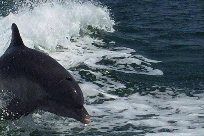 Sunset Dolphin Cruise with Sanibel Lighthouse Views - FAQ