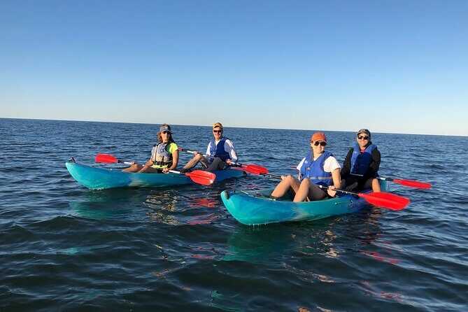 Sunset Dolphin Kayak Tours - FAQs