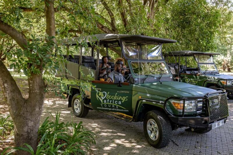 Sunset Drive From Hazyview - Kruger National Safari - A Closer Look at the Sunset Safari Experience
