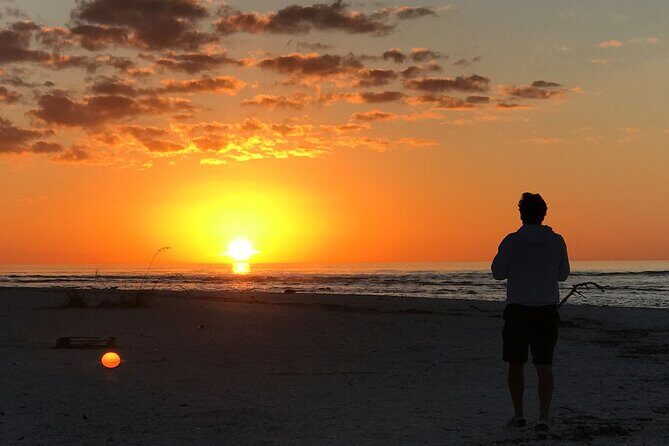 Sunset Eco Tour of Marco Island & 10,000 Islands - Introduction: Why This Sunset Eco Tour Stands Out