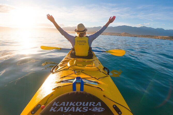 Sunset Evening Kayaking Tour - Kaikoura - What the Tour Offers in Practice