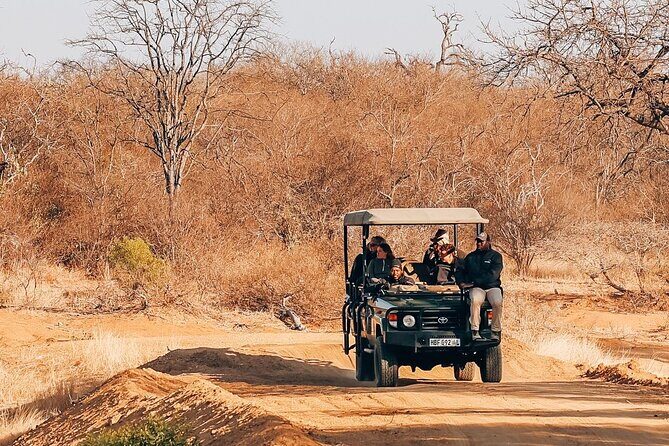 Sunset Game Drive in Big5 Reserve - Sunset Game Drive in Big5 Reserve: An Authentic Safari Experience