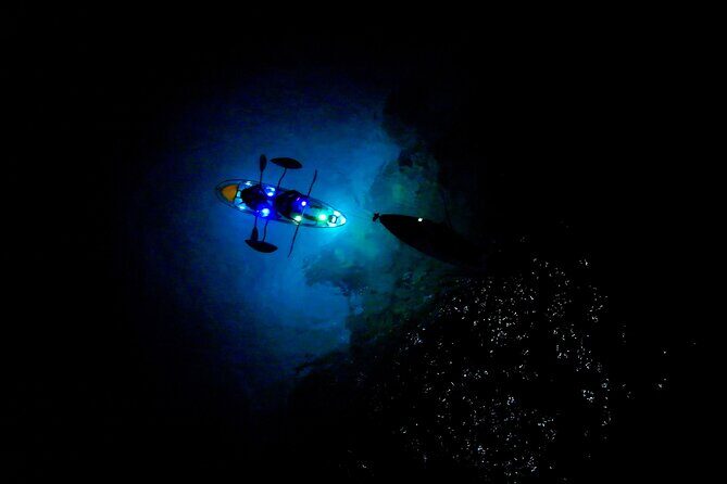 Sunset/Glow Clear Kayak Tour in Olowalu - The Sum Up: Who Will Treasure This Tour?