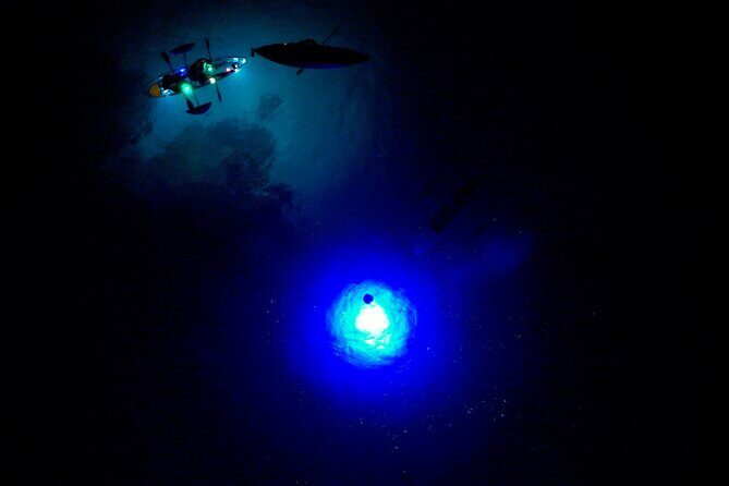 Sunset/Glow Clear Kayak Tour in Olowalu - FAQ