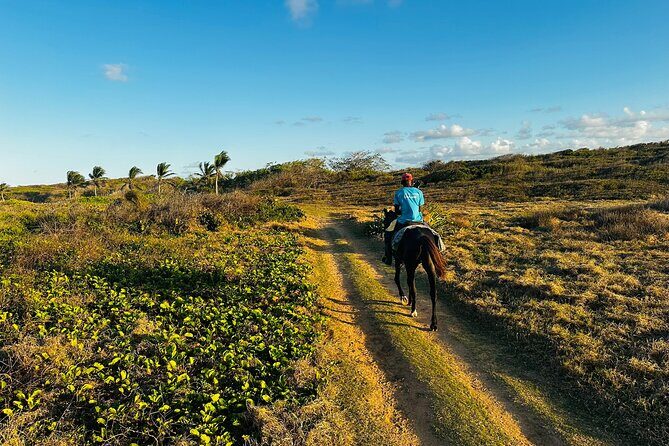 Sunset Horseback Ride at Macao Beach & Forest with Transfers - The Itinerary: What You Can Expect