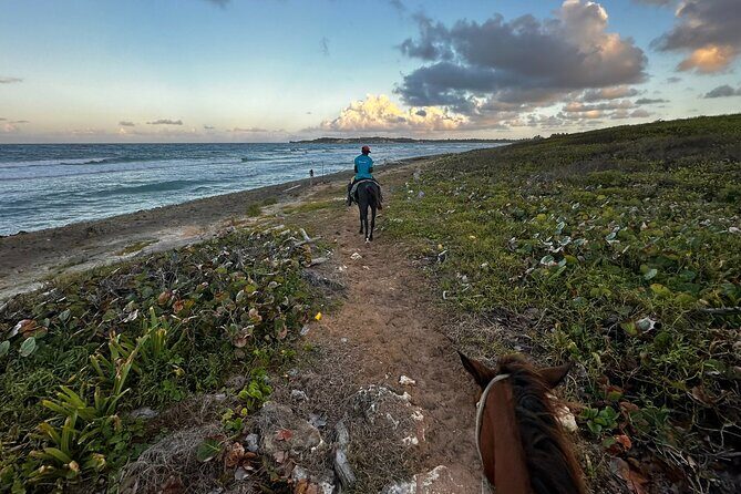 Sunset Horseback Ride at Macao Beach & Forest with Transfers - Analyzing the Value