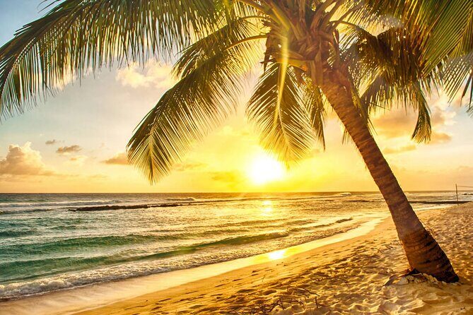 Sunset Horseback Ride at Macao Beach & Forest with Transfers - Who Will Enjoy This Tour?