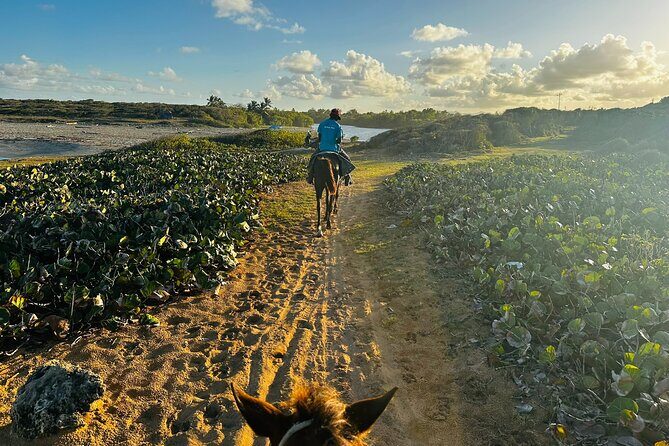 Sunset Horseback Ride at Macao Beach & Forest with Transfers - Final Thoughts
