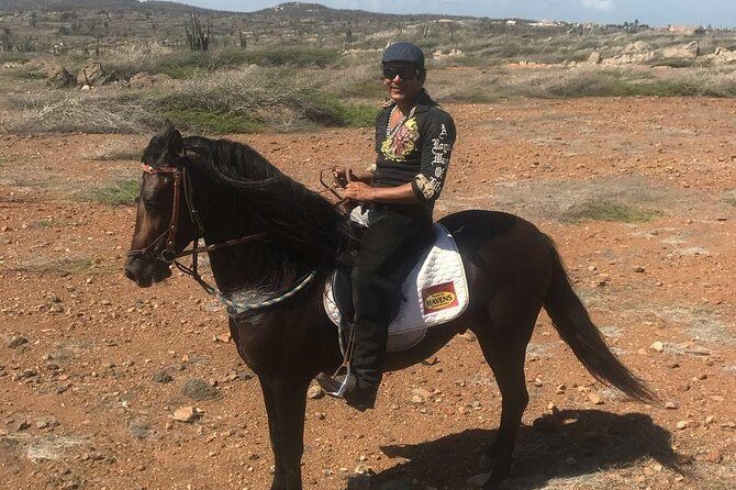 Sunset Horseback Ride in Aruba - Who Should Consider This Tour?