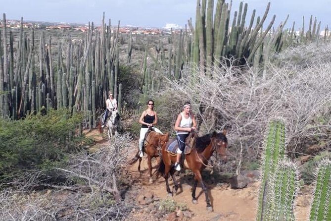 Sunset Horseback Ride in Aruba - FAQs