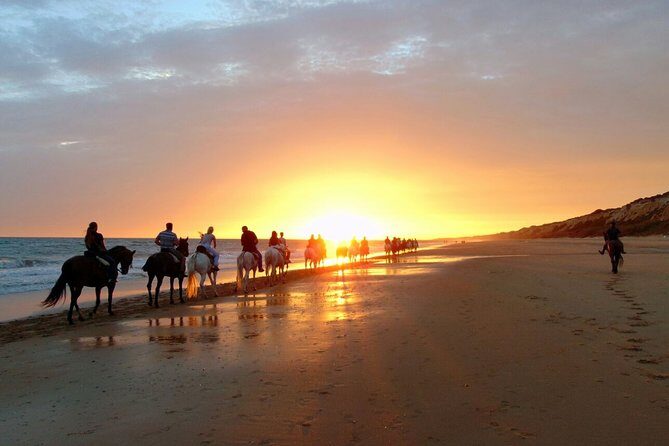 Sunset Horseback Riding in Puerto Plata - Sunset Horseback Riding in Puerto Plata: A Truly Unique Experience