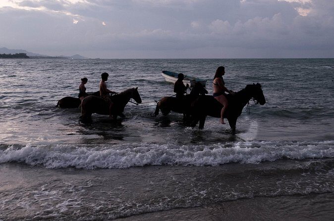 Sunset Horseback Riding in Puerto Plata - FAQ