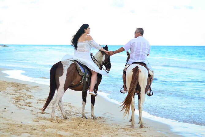 Sunset Horseback Riding Tour in Punta Cana (Private Option) - A Detailed Look at the Sunset Horseback Riding Tour in Punta Cana