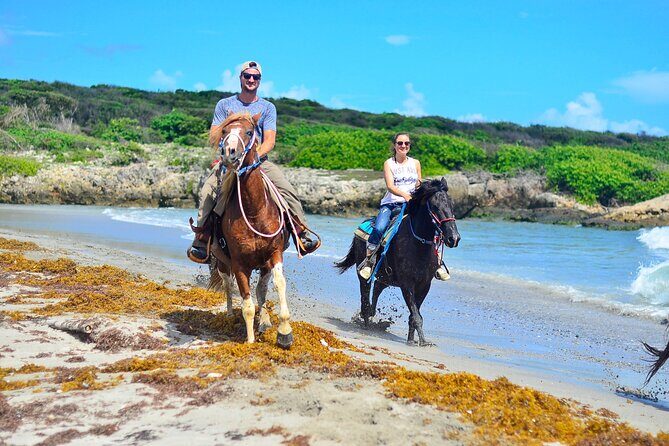 Sunset Horseback Riding Tour in Punta Cana (Private Option) - The Details That Matter