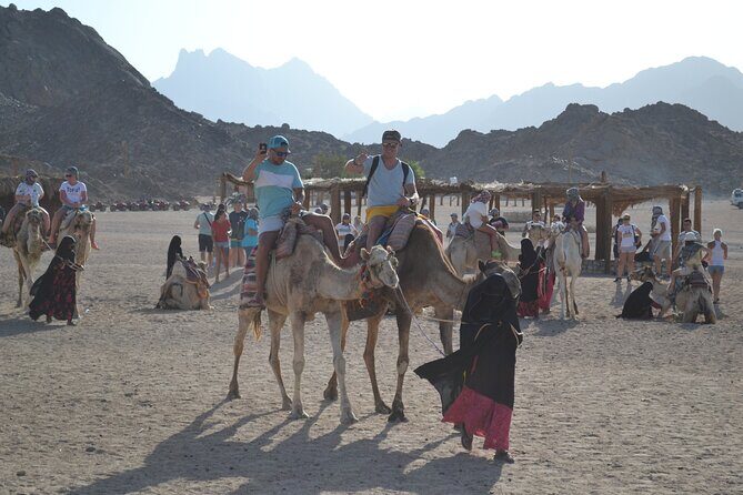 Sunset Jeep Safari Dinner, Camel Ride, Show & Transfers- Hurghada - The Sum Up: Who Should Consider This Tour?