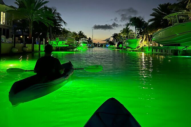 Sunset Kayak Adventure with Enchanting Underwater Lights - Why This Tour Stands Out