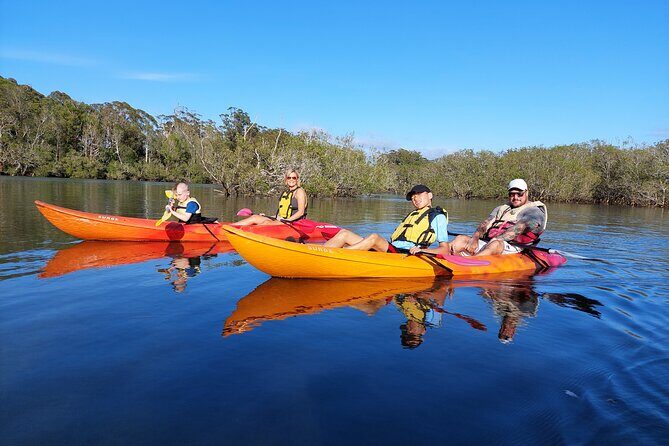 Sunset Kayak Eco Tour with Marine Scientist - Who Will Love This Tour?