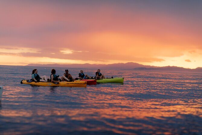 Sunset Kayak tour in Kaikoura - The Itinerary: A Gentle, Wildlife-Focused Cruise