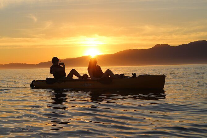 Sunset Kayak tour in Kaikoura - Practical Details: Pricing, Timing, and Booking