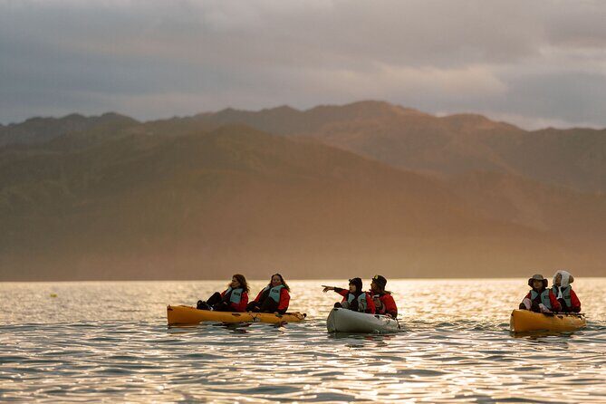 Sunset Kayak tour in Kaikoura - Hidden Gems and Things to Consider