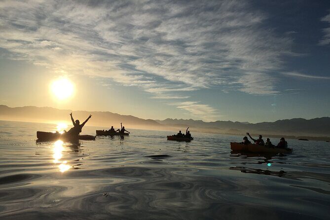 Sunset Kayak tour in Kaikoura - Who Should Book This Tour?