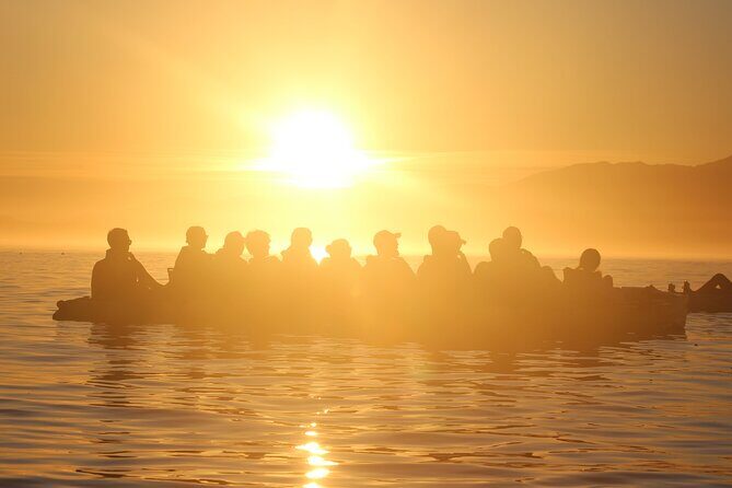 Sunset Kayak tour in Kaikoura - FAQ