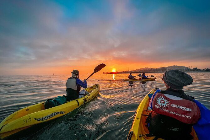 Sunset Kayak Tour in Santa Barbara Harbor (2 Hours) - Final Thoughts: Who Will Love This Tour?