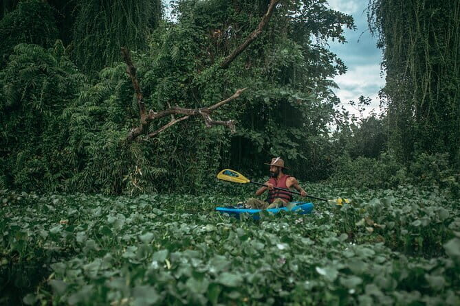 Sunset Kayaking in Hidden Alleppey Backwater Routes - FAQ