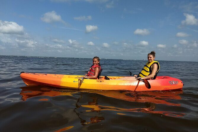 Sunset kayaking tour at Manatee Cove with Manatee & Dolphin sightings - The Itinerary and What To Expect