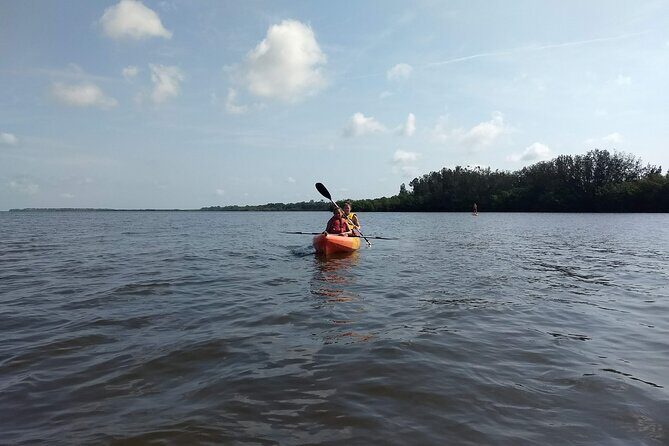Sunset kayaking tour at Manatee Cove with Manatee & Dolphin sightings - Final thoughts