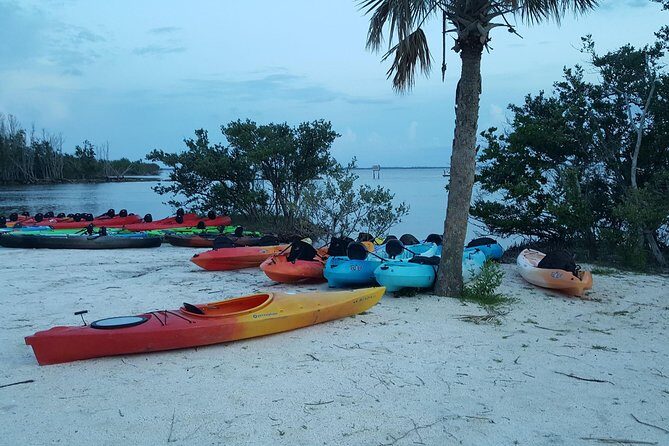 Sunset Kayaking w/ Florida Bioluminescence Combo Tour | Haulover canal - The Itinerary: What to Expect