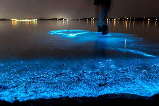 Sunset Kayaking w/ Florida Bioluminescence Combo Tour | Haulover canal - Practical Tips for Participants