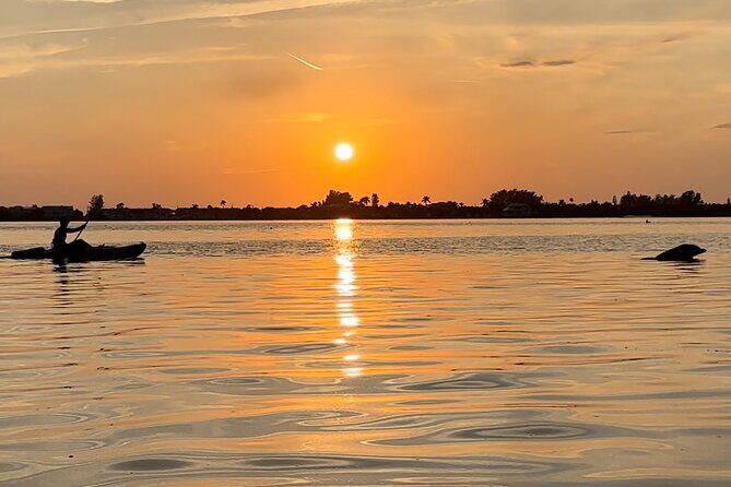 Sunset Kayaking with Dolphins - Sunset Kayaking with Dolphins: A Detailed Review