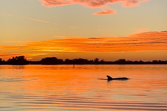 Sunset Kayaking with Dolphins - Key Points