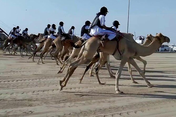 Sunset Keshta at Zekreet | Art, Adventure & Arabian Picnic - Key Points