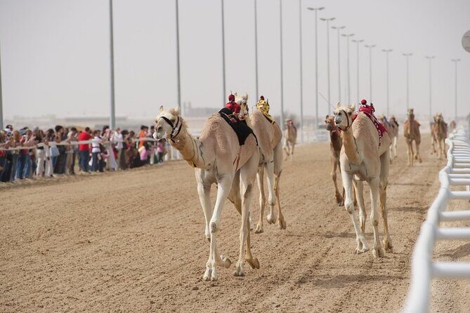 Sunset Keshta at Zekreet | Art, Adventure & Arabian Picnic - The Cultural Significance of Keshta
