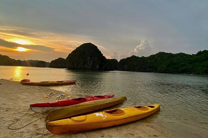 Sunset- Magical bioluminescent plankton Kayaking trip from Catba - What Travelers Love About This Tour
