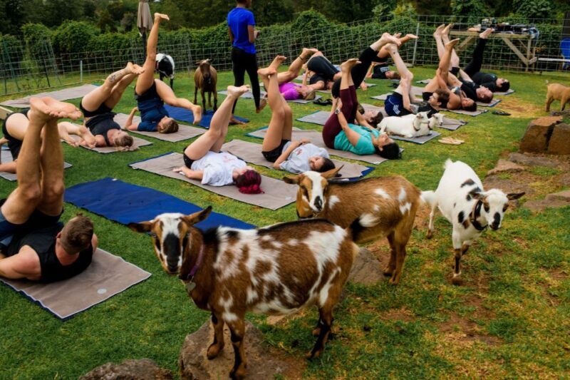 Sunset Maui Goat Yoga with Live Music - The Setting and Views